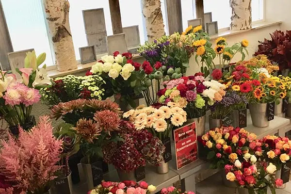 Schnittblumen aus eigener Kultur