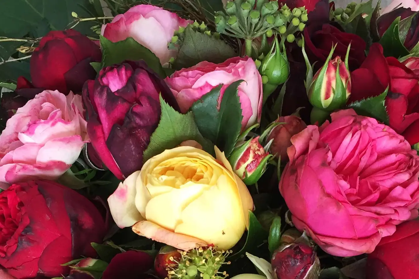 Verkaufsfläche der Weinsberger Rosenkulturen